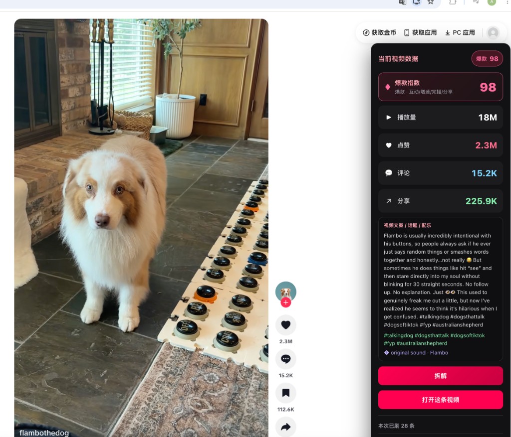 TikTok Viral Score panel showing viral index 98 with views, likes, comments, and shares